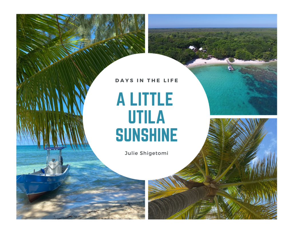 Utila Real estate Jack Neal Watercay Palm Tree